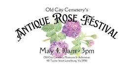 Antique Rose Festival