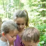 Summer Nature Camp at Honey Hollow