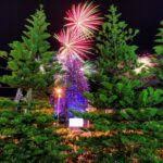 Frankston’s Christmas Festival of Lights