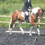 Bespoke Dressage