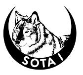 SOTA I Steering Committee Meeting