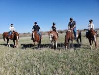 trail rides