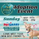 PetSmart Adoption Event - Buffalo