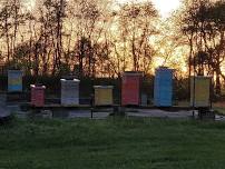 Beekeeping 101 ~ Carlisle Stuart Community Center