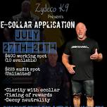 E- Collar Application w/ Justin Rigney