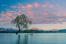 New Zealand for Nature Lovers with David Cobb & Christian Heeb (Sold Out)