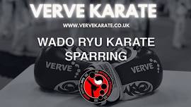 Sparring Class with Verve Karate