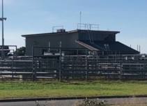 Race 6 over 8000m at Huntly Livestock Exchange