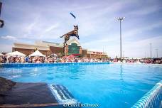 DockDogs® at Scheels Hunting Expo  | Sioux Falls, SD