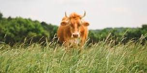 Pasture Walk with Farmscape Ecology