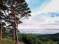 Seasonal Shinrin Yoku - Forest Bathing on Arnside Knott