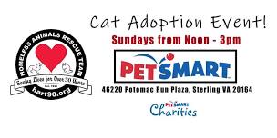 Cat Adoption Event