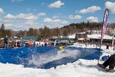 Pond Skim