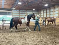 3 - Day Liberty Horse Clinic