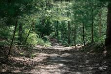 Beebe Woods Walk and Talk (300 Committee)