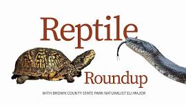 Reptile Roundup