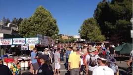 Novato Art, Wine & Music Festival