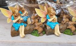 Fairy Garden Workshop