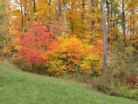 Spring Grove Cemetery Walk