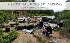 Earth Day Forest Bathing