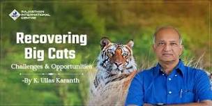 Recovering Big Cats: Challenges And Opportunities