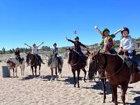 Equestrian Summer Camp