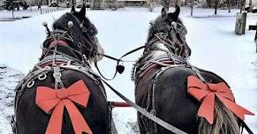 Horse & Carriage Rides with the Clydesdales