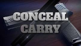 Copy of 16 Hr Conceal Carry Class