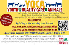 Instructor-Led YQCA hosted by CC Livestock 4-H Club