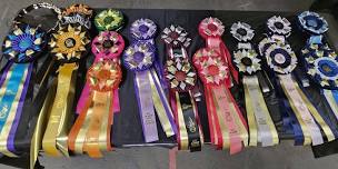 IABCA's 2024 Empire State Sieger International Dog Show