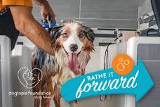 Bathe It Forward!