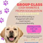 Leash & Socialization Group Class