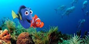 Finding Nemo Presented by Rooted Tree