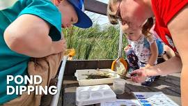 Pond Dipping with a Ranger