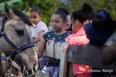 June Pony Rides (Day 1)