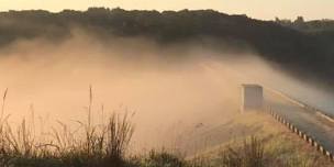 Farmdale Trail Run