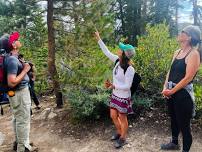 Caldor Forest Recovery Hike w/ the Sugar Pine Foundation