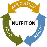 Training  on Nutrition Sensitive Agriculture For Food And Nutrition Security