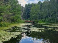 Assabet River Walk