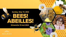 BEES!- Community Learning Event