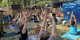 Goat Yoga and Hang with the Herd in Tallahassee