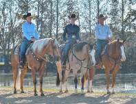 Steve Meadows Ranch Riding and Trail Class Clinic ( Full!)