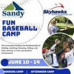 Skyhawks Baseball Camp