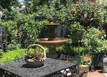 June 2024 Newport Secret Garden Tour 