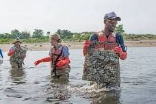 Hudson River Oysters: Past, Present, & Future