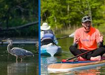 Eco-Tours of Harness Creek at Quiet Waters Park