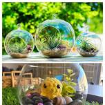 Terrariums & Aquariums