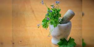 Herbal Medicine Making Spring Series  Herbal Tea Formulation w Dr. Ashley,