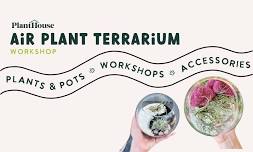 Air Plant Terrarium Workshop