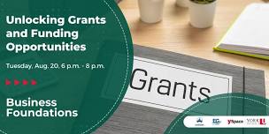 Business Foundations: Unlocking Grants and Funding Opportunities